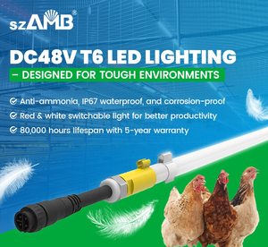 Chicken Coop Light Chicken Redlight IP67 T6 DC48v Corrosion-Proof Poultry Lighting for Layer& Rearing Cage with 5 Years Warranty