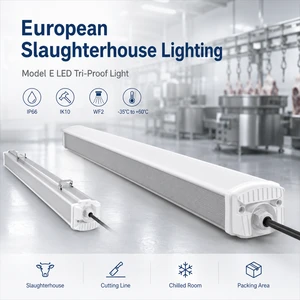 IP66 LED Tri-Proof Light For European Slaughterhouses Waterproof Industrial Linear Lighting Fixture