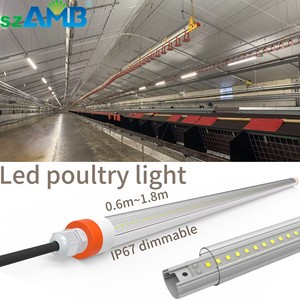 LED Poultry Light IP67 IK10 2ft 3ft 4ft 5ft Waterproof Chicken Coops LAMP Cowsheds Led Lights Poultry Farm Lights Dimmable