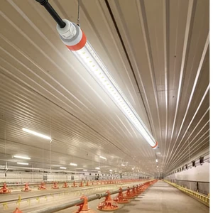 IP67 Waterproof 2700K-6500K LED Light Poultry Led Lighting Flicker Free for Poultry Farm