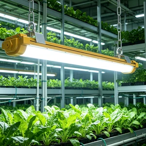 LED Explosion-Proof Lights For Warehouse Factory Workshop-Industrial Long-Strip Supports Single/Double Tube Daylight