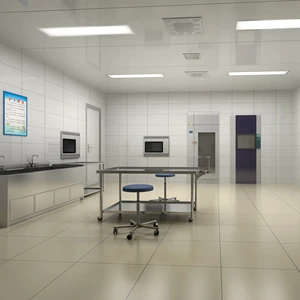 Class 100-100000 Level Hospital Clean Engineering for Operation Room