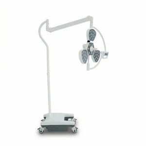 Modern Animal Clinic Wall Mounted Shadowless Lighting System Veterinary Surgical Light For Pet Surgery And Health Care