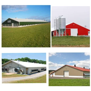 Chicken House Equipment Poultry Farm Building Steel Structure Small Scale Poultry Farming Gallinero