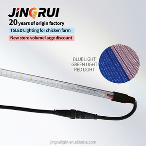 Easy Installation Professional Dimmable High Efficiency White/Cold White/Warm White CRI80 3-Year Poultry LED Led Poultry Light