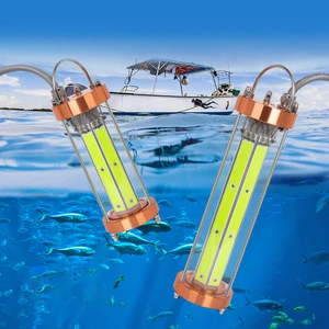 600W 12V White Blue IP68 316L Deep Drop Fishing Light Submersible Fishing Lights Water Proof Fishing Lights