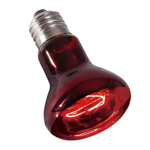 R125 Wholesale Animals Piglet Broiler Sleep Chicken BirdFarmEquiment/Pet Lamp Heating Heating Lamp for Chicks