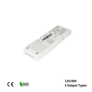 Intelligent 2 Channel LED Dimmer Controller 2.4G Wireless 6A APP Dim for CCT Dual Color Strip Light