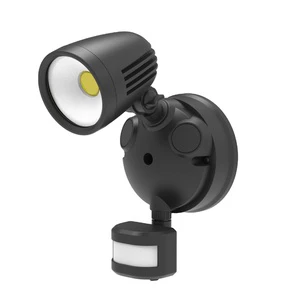 Security Light with Microwave Motion Sensor Outdoor Wall Lamp