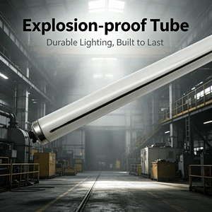 Customized R18S Ip65 Explosion-proof Light 6500k Fluorescent Tube Light