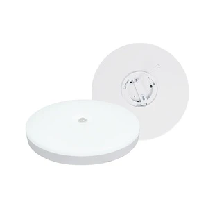 Factory Direct Sale 12W 18W 24W 2835 Ceiling Mounted Radar Human Sensor Induction Led Ceiling Lamp