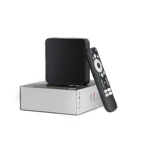 Factory Supply Dcolor GD2 Remote Control Amlogic S905Y4 Smart Box Compatible Google Assistant With Best Brand