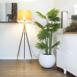 Minimalist Metal Floor Lamp Decorative Standing Light for Living Room and Hallway