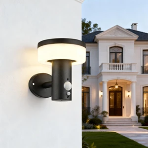 Decorative Waterproof Stainless Steel Motion Sensor Outdoor Led Solar Light for Wall Column