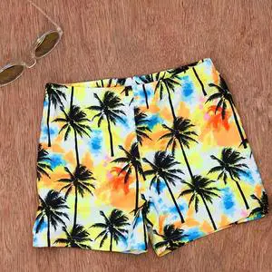 Men Swimwear and Beachwear Swimwear Shorts Swimming Trunk Mens Quick Dry Shorts Inseam