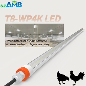 waterproof Lighting IP67 LED Poultry Light Chicken Light Led T8 Led Tube Light IP67 Waterproof Lamp Led Tube