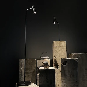 Superior Quality Modern Aluminum Middle Luxury Floor Lamp Adjustable Height Dimmable High CRI 95 Art Gallery Use Eye Protection