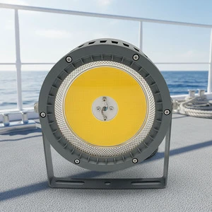 Customized 120W LED Fishing Lights Lamp 12V Fishing Luring Attract Squid Tuna Deep Drop Warm White LED Fishing Lights for Boats