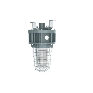 Class 1 Division 1 Tempered Globe Glass Stainless Steel Guard Explosion Proof Light 20W/30W/40W UL ETL Listed