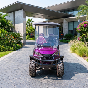 Durable 2 Seater Electric Golf Cart Floating Rear Axle Anti-Slip Floor 60V 4kW 80km For Scenic Area Outdoor Use