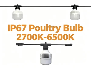 Chicken Light 15W LED IP67 AC100-265V 130lm/w 0-100% Dimming Clear Cover Poultry Equipment