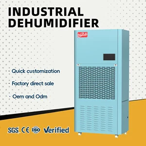 Lingde Professional New 290L/Day Industrial Dehumidifier for Electronics Semiconductor Clean Room Automatic Restart Digital