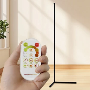 Modern LED Standing Floor Lamp Home Decor 2.4G Remote Control&APP Control Atmosphere Floor Lamp 3 Colors Changeable Aluminum USB