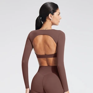 Women Hollow Back Contour Sports Crop Top Long Sleeve Breathable Sculpt Fit Yoga Workout Top