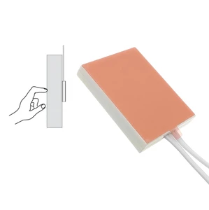 For Smart Manual Dimmer Touch Switch with 60W Load Capacity and 2-Year Warranty for Wardrobe LED Lighting and Circuitry Design