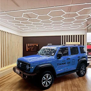 Professional Customized 220v High Power Best Workshop Lighting Hexagon Light Garage Ceiling Led Lamp
