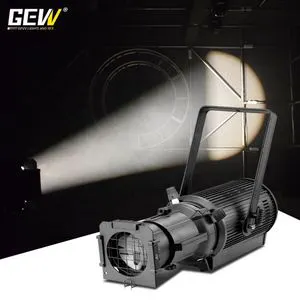 Modern Novel Design Golden Supplier Fresnel Light 300W LED Ellipsoidal Light Professional Theater Stage Light