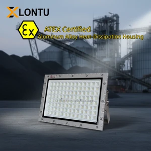 70W-300W IP65 Waterproof Aluminum Explosion Proof Flood Light For Painting Room - Lontu