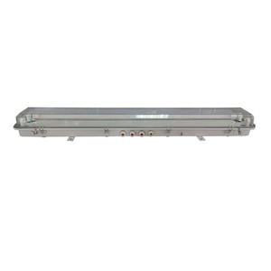 ZYC44-2 Boat Fluorescent Pendant Light