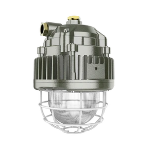 ATEX Explosion Proof Hanging Lamp (Long) With Guard 50W 5700K