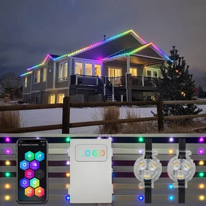 Twinklight LED Pixel Light Source RGBW Permanent Outdoor Christmas Lights Waterproof Holiday Lighting Amusement Design