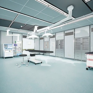 Custom Design Clean Rooms for Hospital, Animal Laboratory Meeting Strict Standards