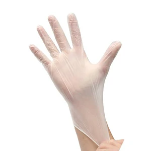 Vinyl Disposable Gloves