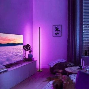 Floor Lamp Rgb Decorative Tripod Led Detachable Musical Rhythm Floor Standing Lamp With Cheap Freight