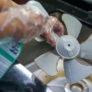 Bulk Hot Selling Powder-Free Disposable Gloves for Catering Food Safety Strong & Durable Fits Comfortably