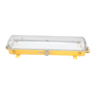 MARINE EXPLOSION-PROOF FLUORESCENT LIGHT