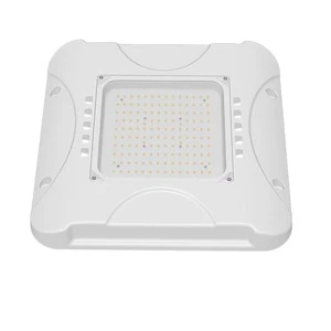 Adjustable Power Color Temperature 100-277V CRI70 50000 Hours Lifespan IP65 Flame-Retardant Explosion-Proof LED Gas Light