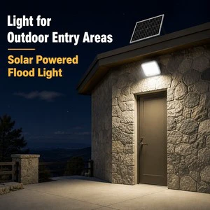 Outdoor Motion Sensor IP65 Waterproof Led Solar Power Flood Lights High Bright 60W 80W 100W 150W for Outdoor Area Lighting