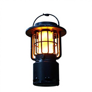 Outdoor Garden Camping LED Lamp Carrying Handle Rotatable Head Built-in 10W Speaker IP33 Waterproof USB Rechargeable Lithium