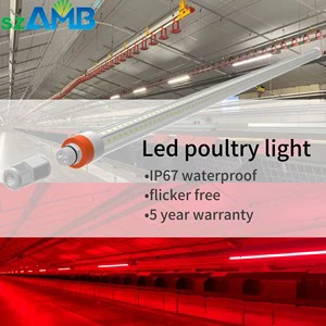Poultry Light IP67 Led Light for Poultry House Poultry Light Professional Lighting Poultry Led Warm White 2700k-6500k/red...