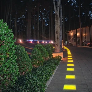CE Certified Changeable RGB LED Tile Outdoor Landscape IP67 Waterproof DC 12V 200W Epoxy Brick Lights