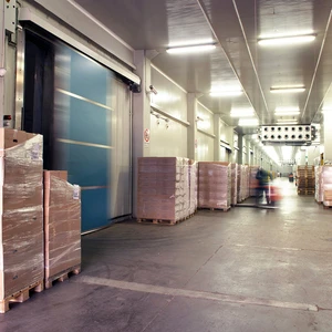 Custom Modular Cold Storage Room Commercial Refrigerated Warehouse For Industrial Food Processing