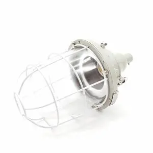 250W Explosion-proof Lights for Hazardous Areas in Zone 1 and 2 with 250W High Pressure Incandescent (Sodium) Bulb