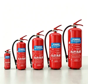 Wholesale ISO 1kg 6kg 9kg 12kg Portable ABC Class Dry Powder Fire Extinguisher Fire Equipment Supplier
