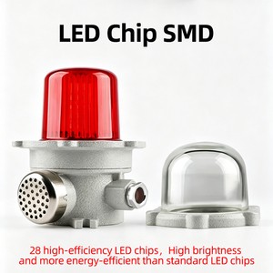 Flameproof Sound & Light Alert Beacon Multi Voltage 12V 24V 220V Industrial Flash Warning Lamp For Mining Sites