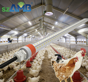 IP67 Waterproof Barn Lights T8 LED Poultry Light 0-10V&Triac Dimming Flicker-free Red+White Switchable 5-Year Warranty